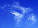 Cirrus clouds in the sky.